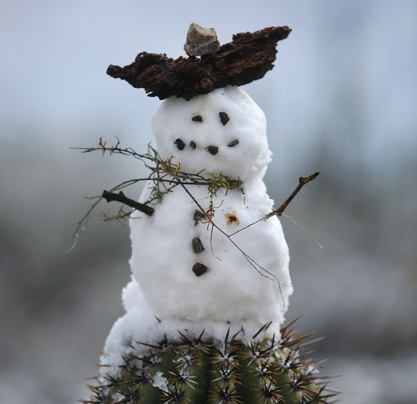 Snow in Southern Arizona